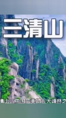 植物大战僵尸：花园战争